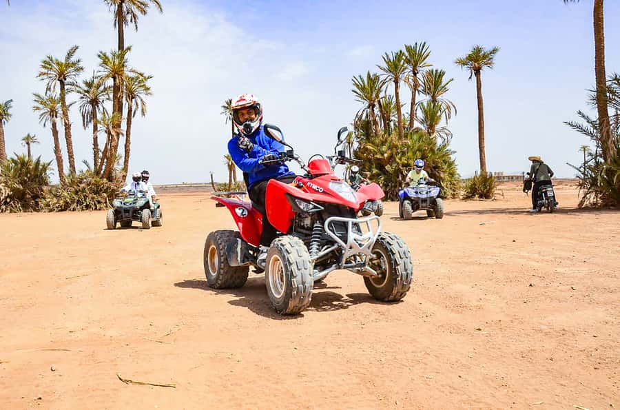 Marrakech: Quad Bike Tour to Palm Oasis and Jbilat Desert - Jbilat Desert Tracks: The Part You’ll Feel in Your Legs