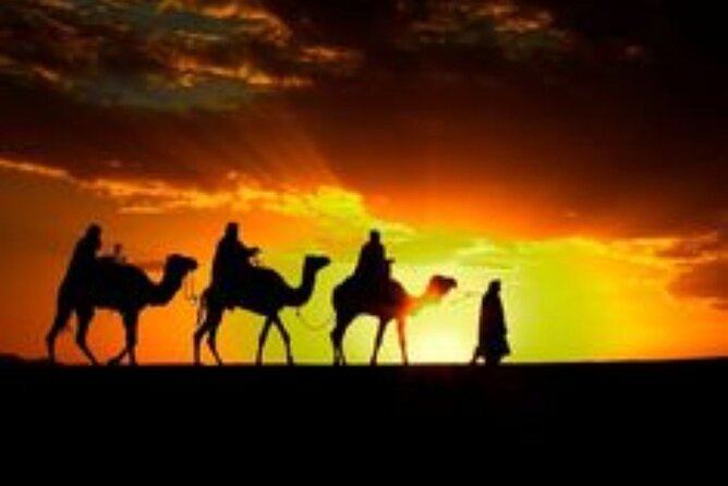 Marrakech: Quad & Camel Ride with Sunset, Dinner & Show - Quad, Camel, Sunset, Dinner, Show: What You’re Really Buying