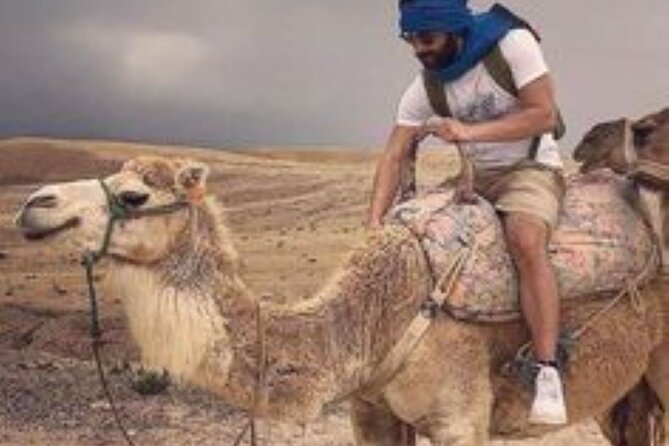 Marrakech: Quad & Camel Ride with Sunset, Dinner & Show - Dinner and Show: The Part That Makes It Feel Like a Night Out