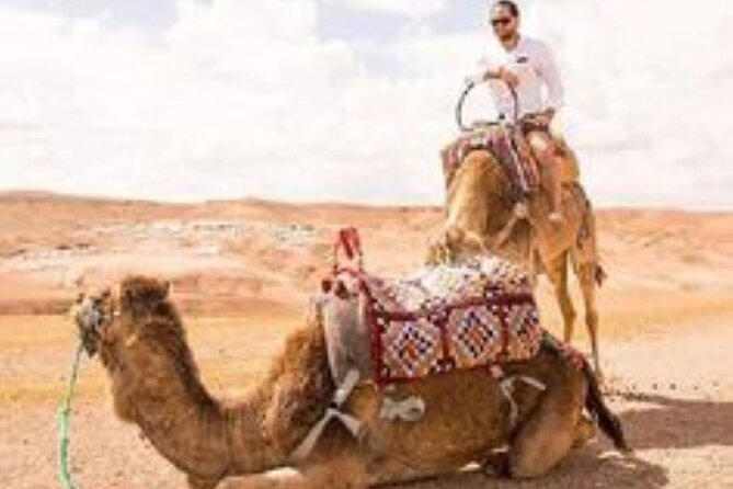 Marrakech: Quad & Camel Ride with Sunset, Dinner & Show - Who This Marrakech Agafay Package Fits Best