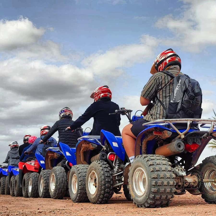 Marrakech: Quad excursion in the palm trees of Marrakech - The 3-hour flow: pickup, practice, photos, tea, back to Marrakesh