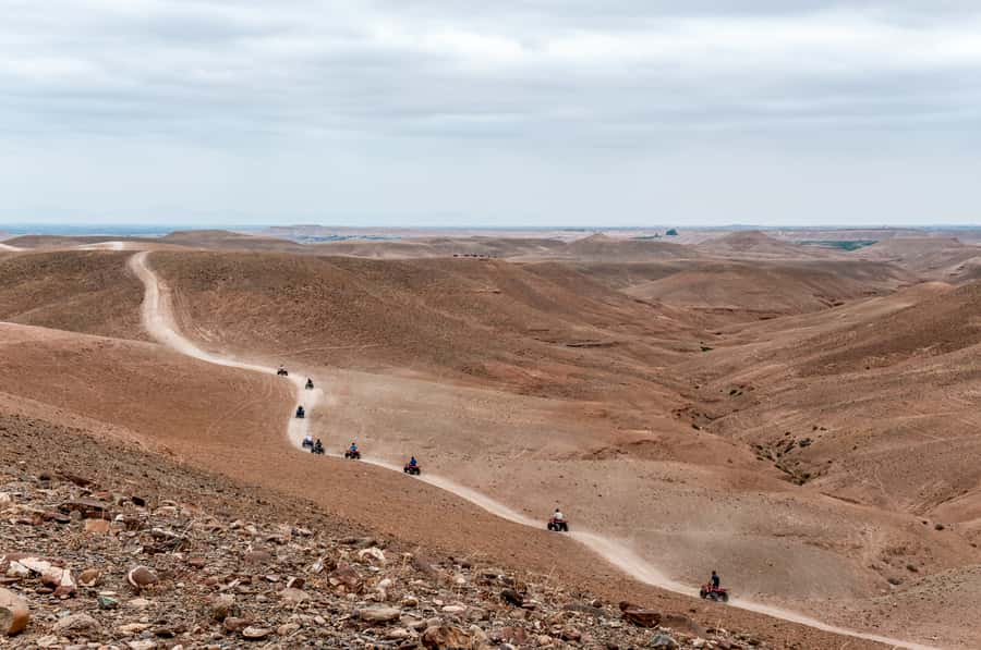 Marrakech: Quad Tour in Jbilets Desert with Palm Grove - Palmeraie and the palm oasis stop, where photos actually happen