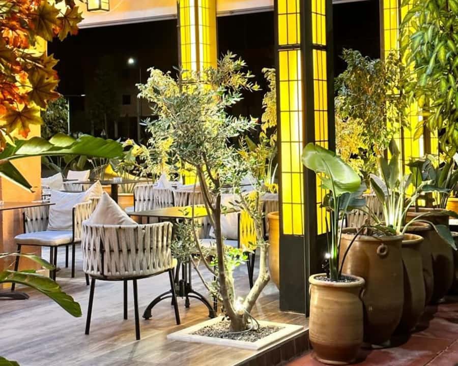 Marrakech: Restaurant Dinner Experience with Hotel Pickup - Dinner service in real life: attentive waiters and paced courses