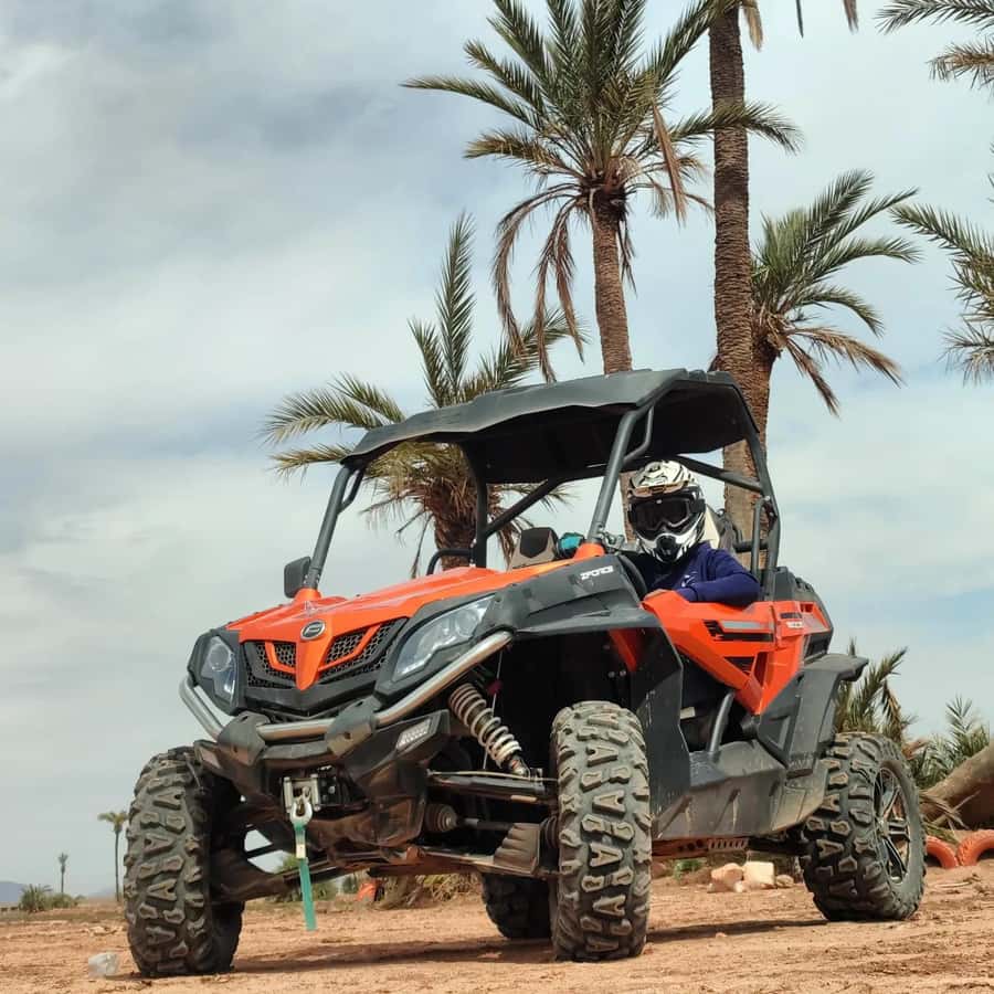 Marrakech : Ride buggy in the desert of the palm grove - Group size and the shared buggy setup that affects your comfort