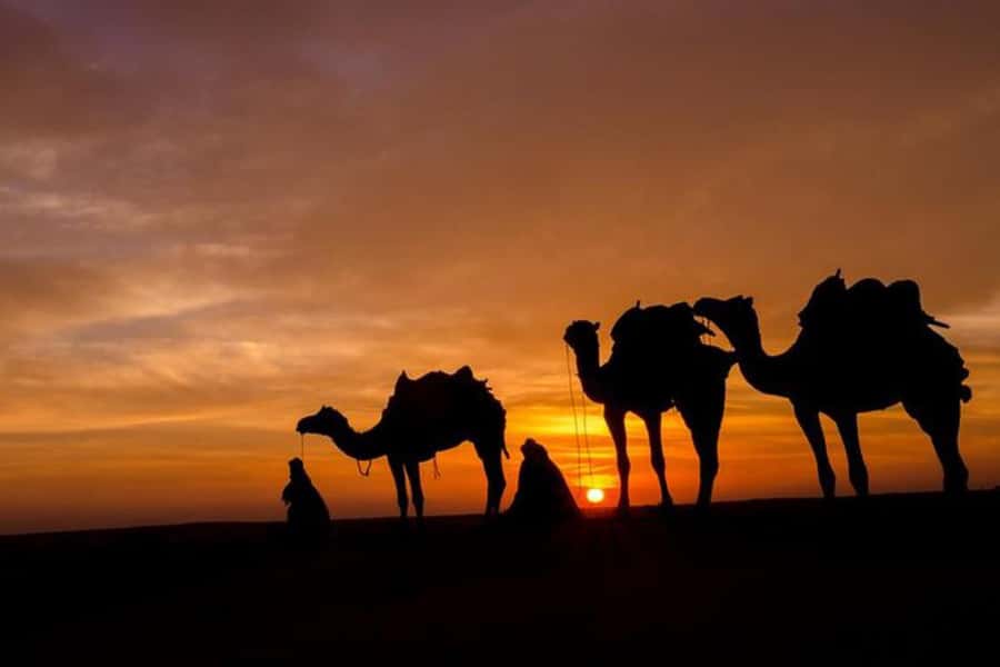 Marrakech: Sunset Dinner in Agafay Desert with Camel Ride - Tips to make your night smoother (small stuff that matters)
