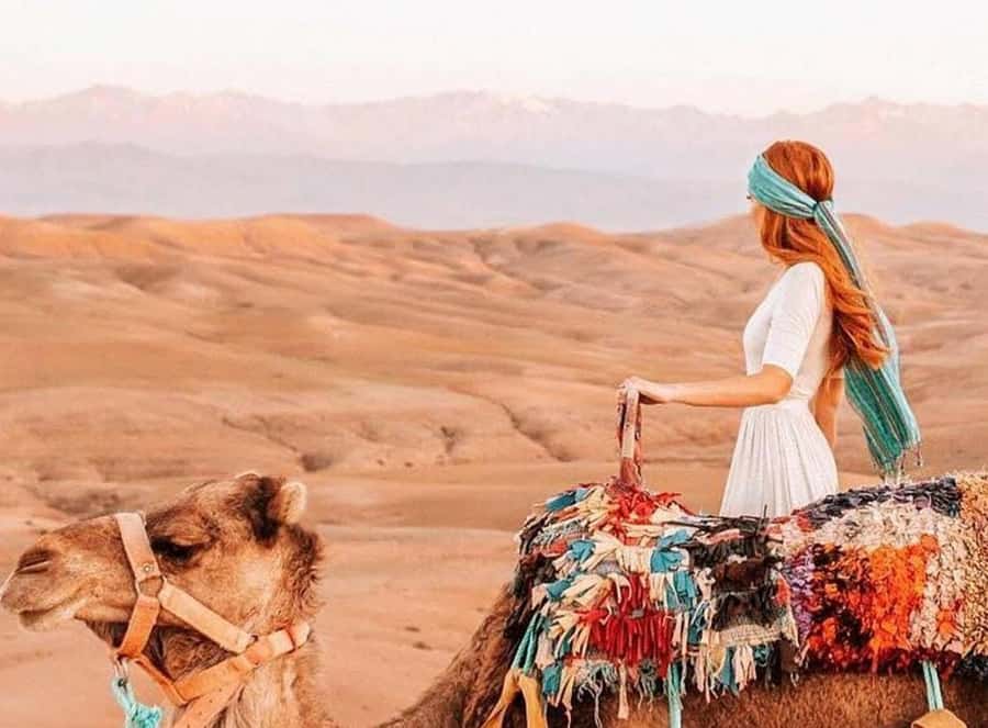 Marrakech: Sunset Dinner in Agafay Desert with Camel Ride - Getting picked up in Marrakech and heading toward the desert