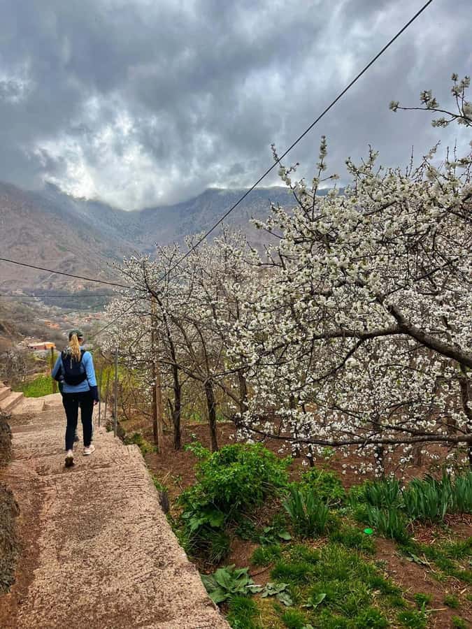 Marrakech: Tedli Summit Atlas Mountains Day Hike & Lunch - From Marrakech to Imlil: the day starts before your boots do