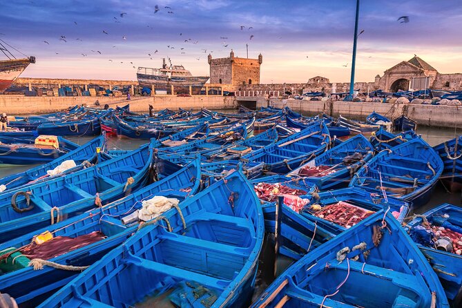 Marrakech to Essaouira: Day of Discovery Along Morocco Coastal - Key Things You Will Enjoy Most