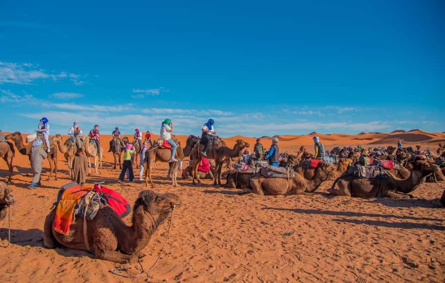 Marrakech to Fes: 3-Day Merzouga Desert Camel & Sandboarding - From Marrakech to Fes without the “just driving” feeling
