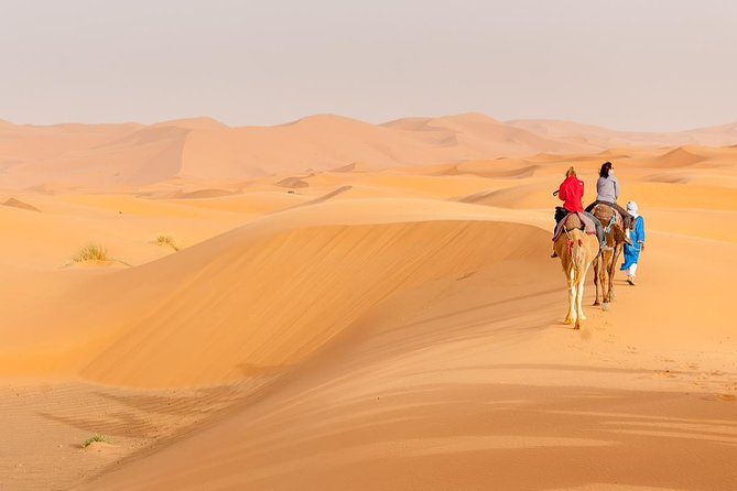 Marrakech to Fez via Merzouga Desert 3-Days Sahara Tour - Tizi Ntichka and Ait Benhaddou Kasbah, what you should actually watch for