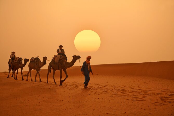 Marrakech to Merzouga Desert 3-Day via the High Atlas Mountains - Price and what you actually get for $127.45