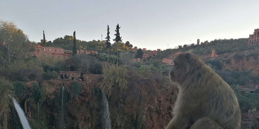 Marrakech to Ouzoud waterfalls day tour - Guide & boat ride - The boat ride at the base: the best way to feel the falls up close
