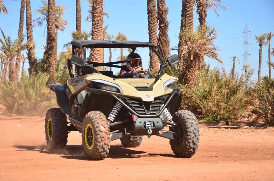 Marrakech: Tour Buggy 1000cc In Palm Oasis and Jbilat Desert - Key Things I’d Actually Plan For