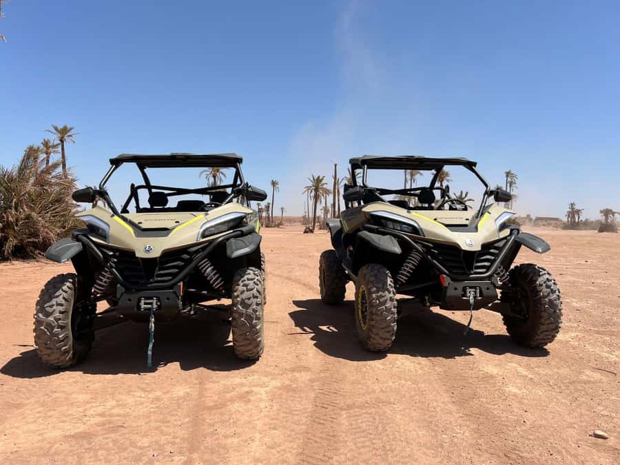 Marrakech: Tour Buggy 1000cc In Palm Oasis and Jbilat Desert - Buggy Basics: 1000cc Power, Real-World Speed Limits