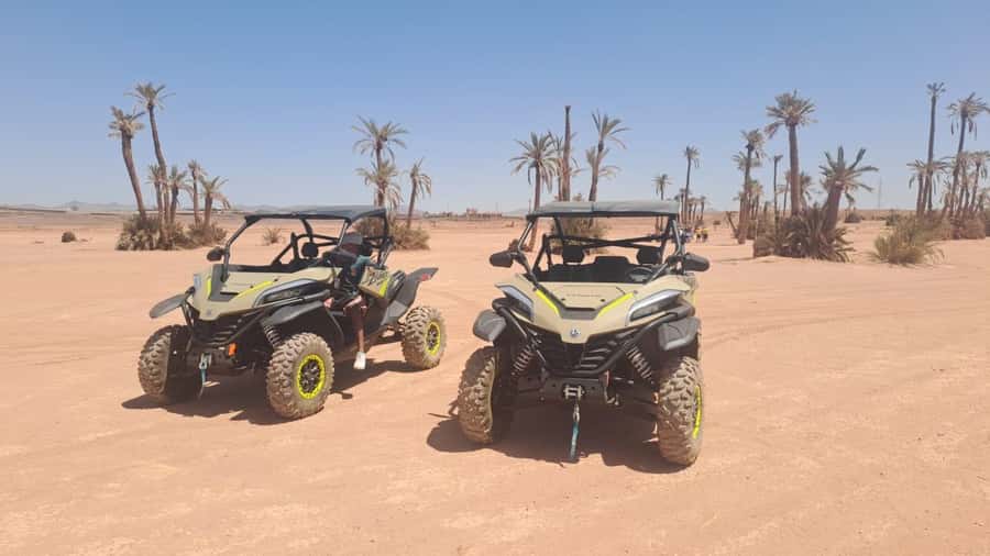 Marrakech: Tour Buggy 1000cc In Palm Oasis and Jbilat Desert - Palmeraie Palm Oasis Stop: Tea, Photos, and a Nice Breather