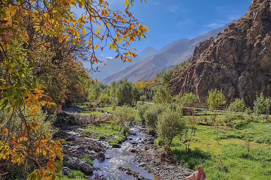 Marrakech: Zip Line in Atlas Mountains & Berber Villages - The women’s argan co-operative, breakfast, and tastings that make sense