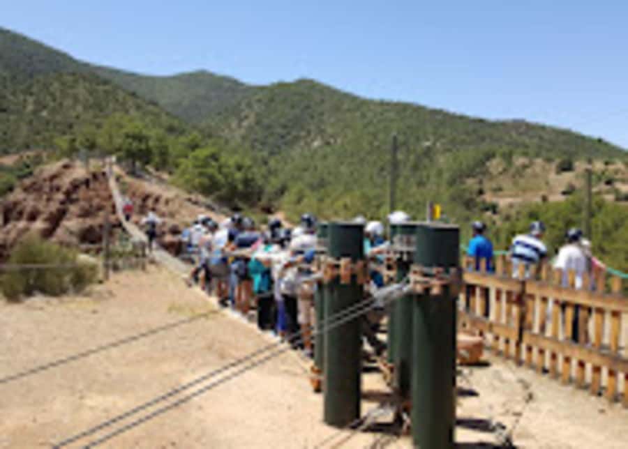 Marrakech: Zip-Line in the Atlas Mountains & Berber villages - Four zip-lines over the pine forest: adrenaline with valley views