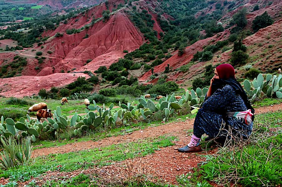Marrakech: Zipline and Breakfast in the Atlas Mountains - Those Bridge Moments: The Part People Either Love or Talk About Forever