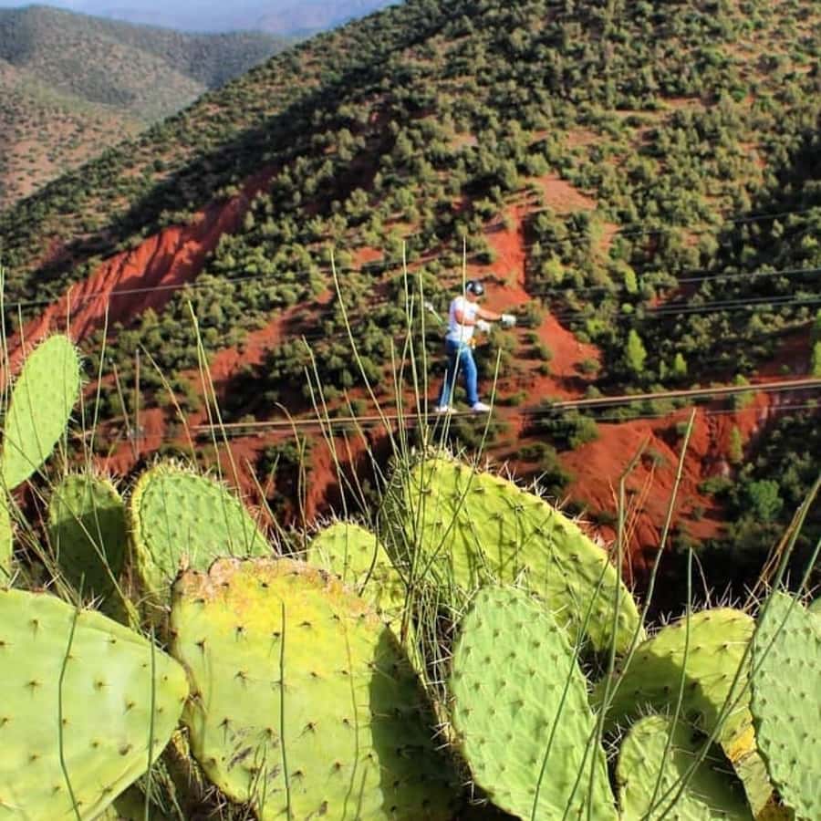 Marrakech: Zipline and Breakfast in the Atlas Mountains - Why the Argan Stop Feels Authentic (and Not Like a Detour)