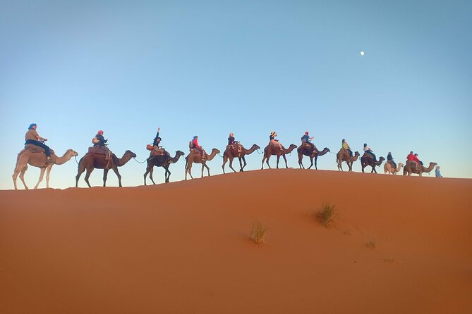 Marrakesh 3 Days Tour to Fez with Overnight Desert Camping - Small-group comfort with pickup, timing, and mobile tickets