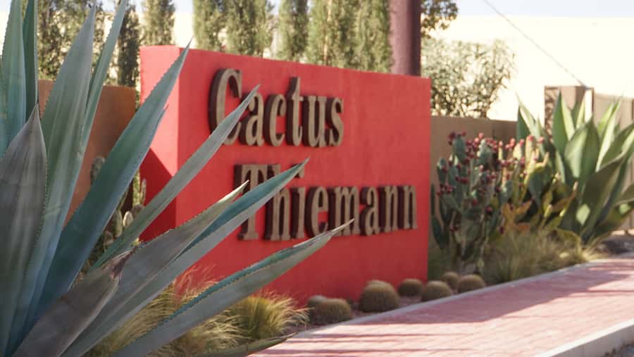 Marrakesh: Cactus Thiemann Entry Ticket - Ticket value and what’s included, $14 entry only