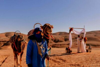 Desert & Mountain Tour with Camel Ride & Lunch