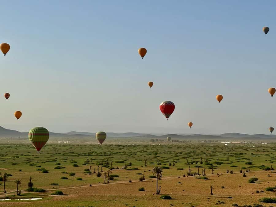 Marrakesh: Early Morning 40-Minute Balloon Flight - Sunrise over the Palmeraie: why this 40-minute balloon feels so special