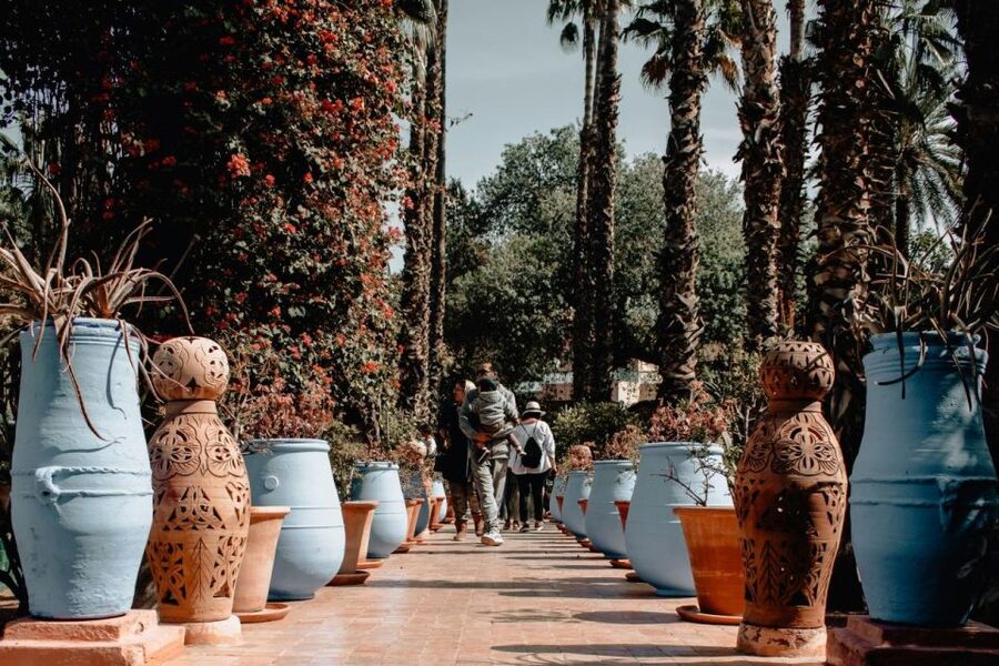 Marrakesh: Majorelle Garden Entry Tickets - Your one-hour route: blue villa, water features, and plant worlds