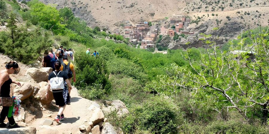 Marrakesh: Ourika Valley & Atlas Mountains Day Trip + Lunch - Who This Trip Suits Best (And Who Should Rethink)
