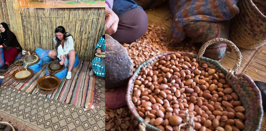 Marrakesh: Ourika Waterfalls, Atlas Mountains, Guide + Lunch - Who Should Book This Ourika Day Trip