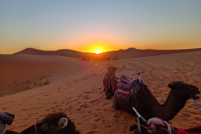 Marrakesh to Fez 3-Day with Overnight merzouga Desert Camping - Camel Trek to the Dunes, a Sunset Plan That Actually Works