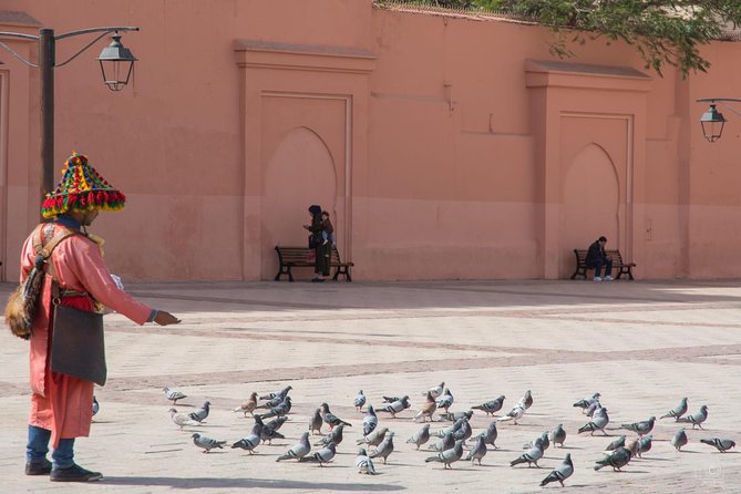 Medina of Marrakech Walking Tour - Private tour pacing, pickup, and mobile ticket perks