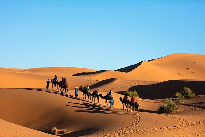 Merzouga Camel Ride & Overnight Desert Camps - Berber tent setup, food, and the small comforts that matter
