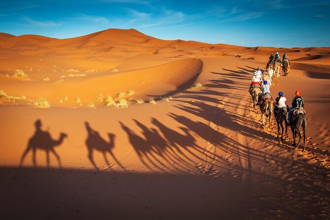 Merzouga Camel Ride & Overnight Desert Camps - Waking up for Erg Chebbi sunrise, then riding back
