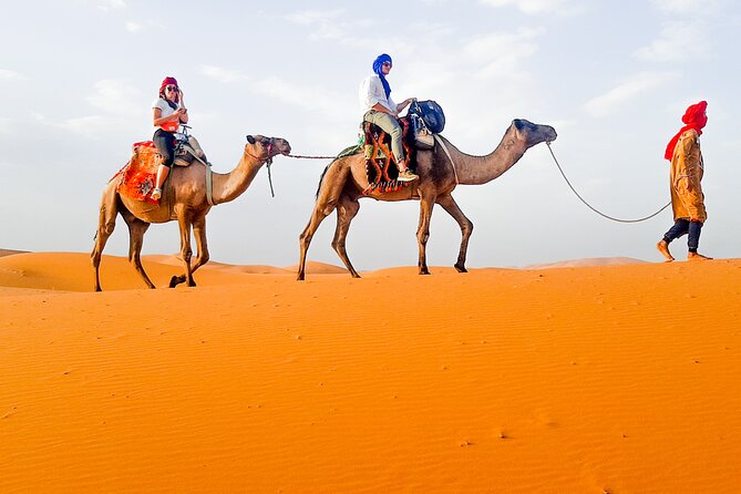 Merzouga Camel Ride & Overnight Desert Camps - Sandboarding and star time, plus how much downtime you get