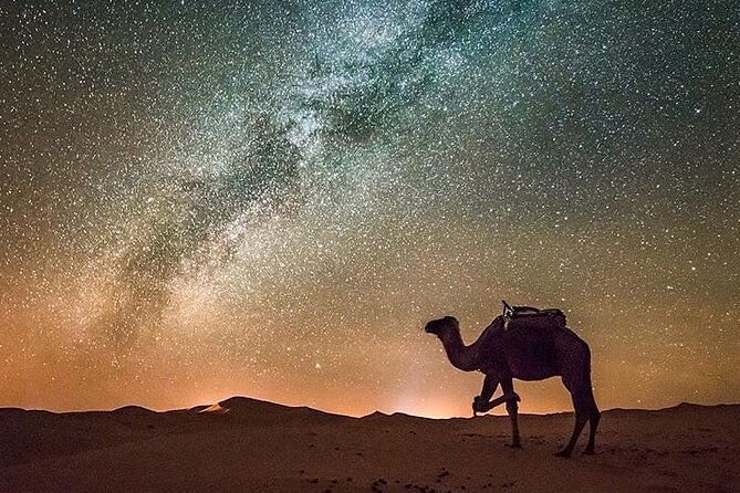 Merzouga Camel Ride & Overnight Desert Camps - Price and value at about $93 per person