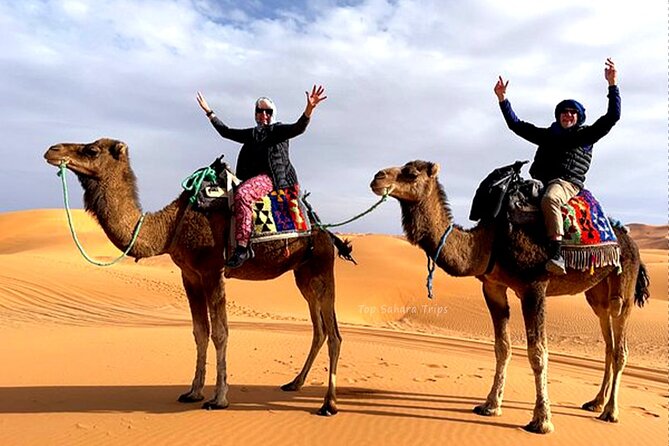Merzouga Camel Ride & Overnight Desert Camps - Erg Chebbi at night: camp life after the trek