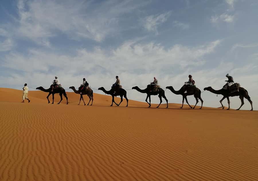 Merzouga Desert: 3-Day Desert Tour from Marrakech - The camp and shared bathrooms: what comfort level to expect