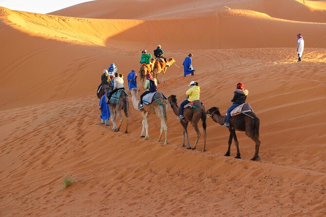 Merzouga Desert Campsite &Camel Excursions - Day 1 at the Merzouga Auberge: Camel Guide Meet-Up and First Dune Riding