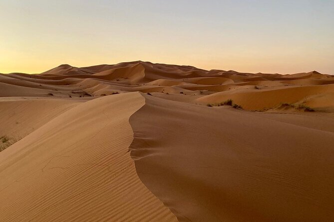 Merzouga Desert Quad bike Adventure with Sand boarding - Entering the Sahara at Erg Chebbi, not just looking at it