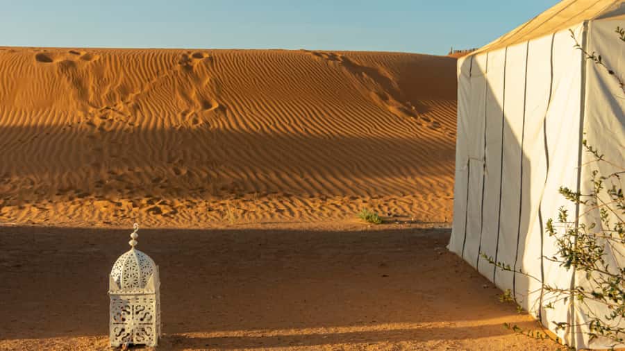 Merzouga Overnight Stay in a Berber Tent and Camel Ride - Price and Value: Is $58 Fair for What You Get?