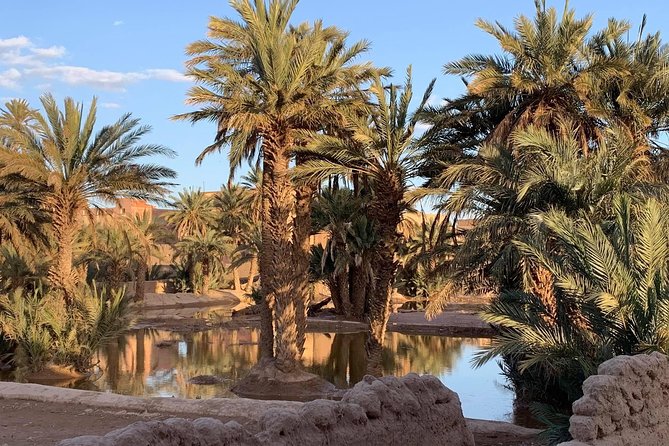 Moroccan Desert 3-Day Luxury Tour from Marrakech - Day 3 return to Marrakech: long drive, last viewpoints, and Jemaa el-Fnaa finish
