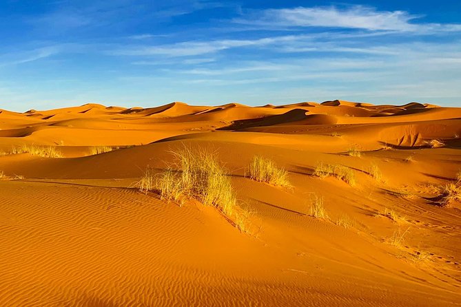 Moroccan Desert 3-Day Luxury Tour from Marrakech - Price and value at about $450 per person