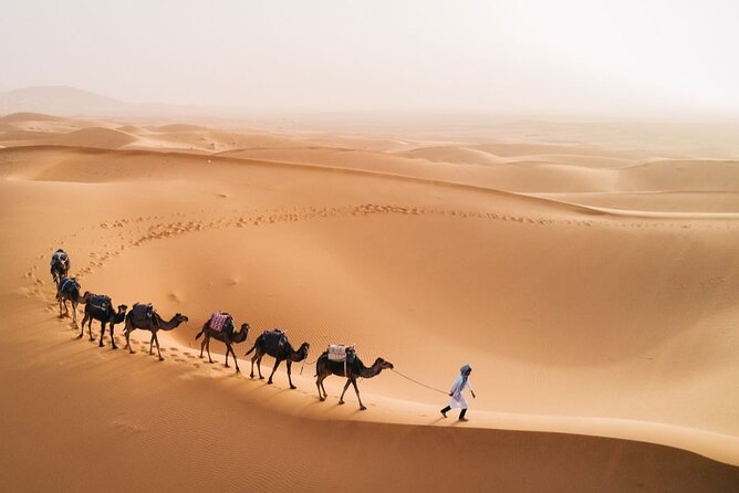 Morocco Tour from Casablanca to Sahara and Marrakech 5 days - Fez in one day: medina scenes, tanneries, and the schools that explain the city