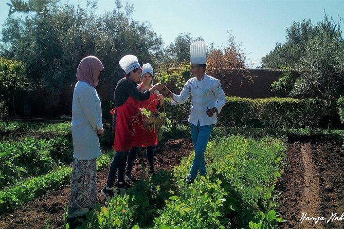 Organic Moroccan Cooking Class At Secret Berber Garden CT - Pickup, Drive Time, and What to Bring for a Smooth Day