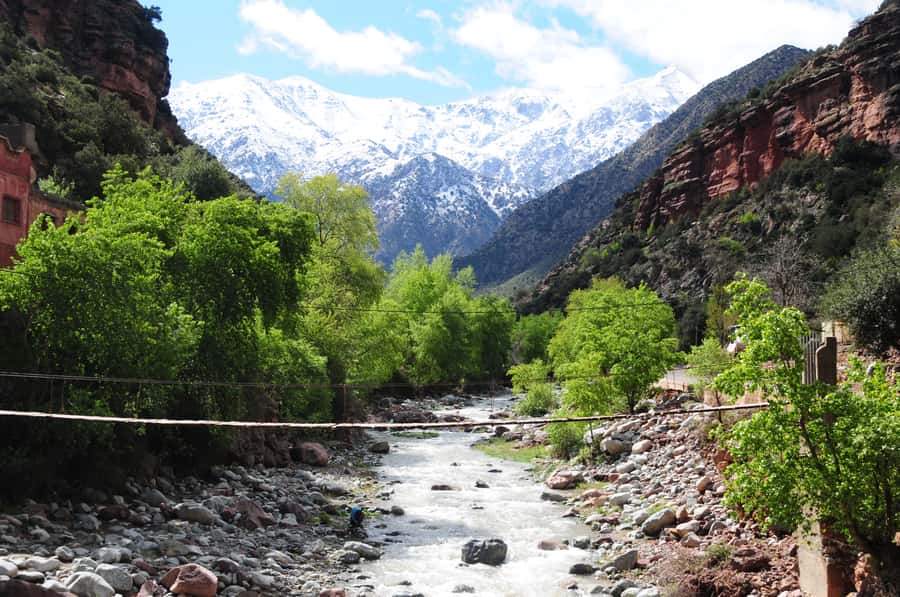 Ourika Valley with Atlas Mountains Day Trip from Marrakech - Argan Oil and Mint Tea: Two Stops That Make the Day Feel Human