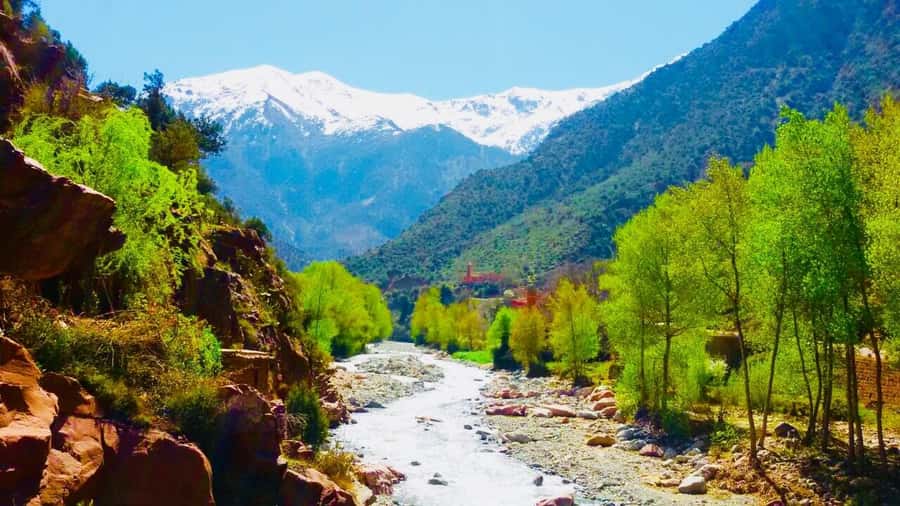 Ourika Valley with Atlas Mountains Day Trip from Marrakech - Who Should Book This Ourika Valley Trip (and Who Might Prefer Another Option)