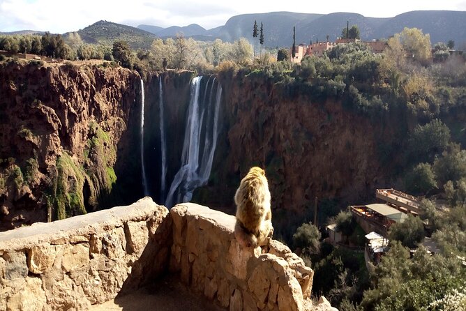 Ouzoud Waterfalls Full Day Trip From Marrakech - Timing on the Day: How to Not Feel Rushed