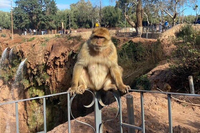Ouzoud Waterfalls Group Tour - Cascadas De Ouzoud - Ouzoud trips - Key things to notice before you go