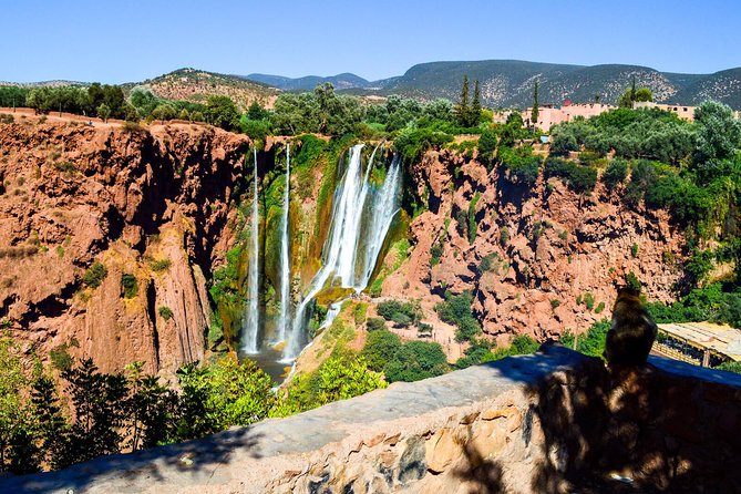 Ouzoud Waterfalls Guided Hike and Boat Trip from Marrakech - Should you book this guided hike and boat trip to Ouzoud from Marrakech?